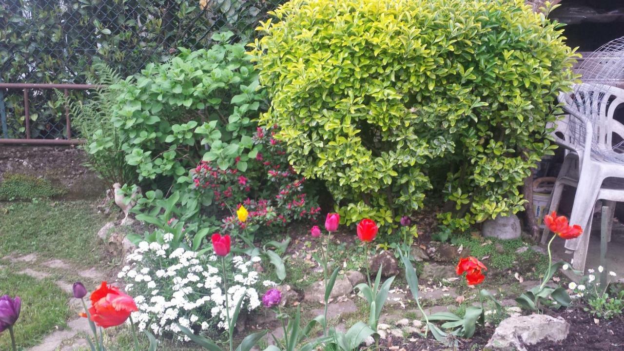 B&B Il Patio Bergamo Dış mekan fotoğraf